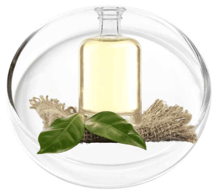 Camphor Oil ingredient
