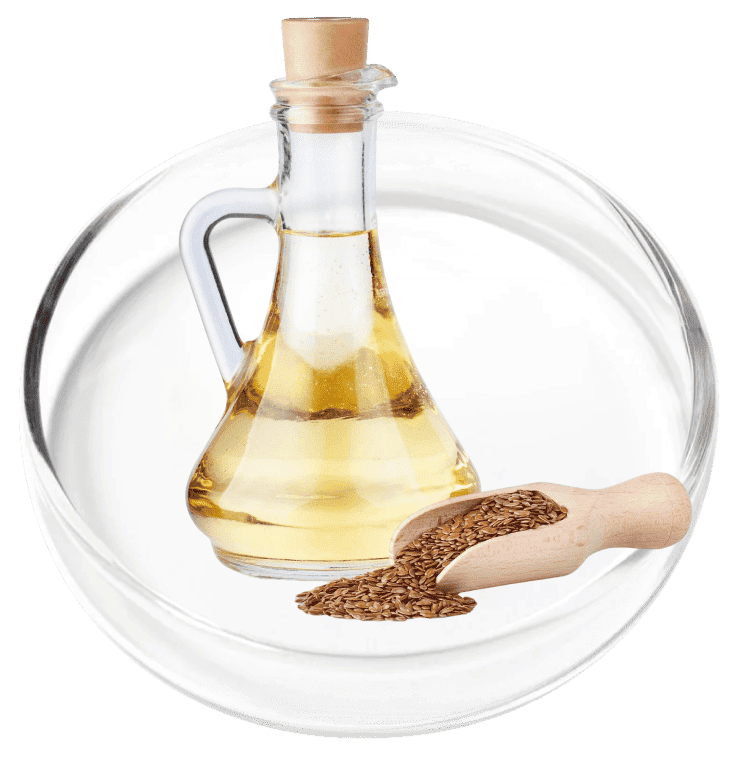 Chia Seed Oil ingredient