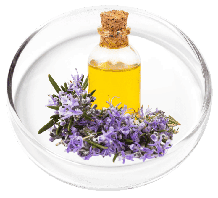 Lavender Oil ingredient