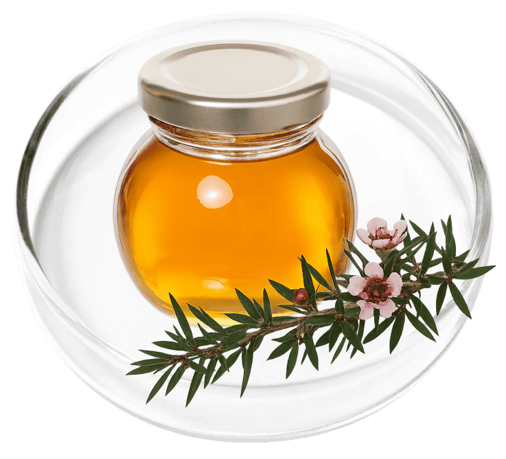 Manuka Oil ingredient