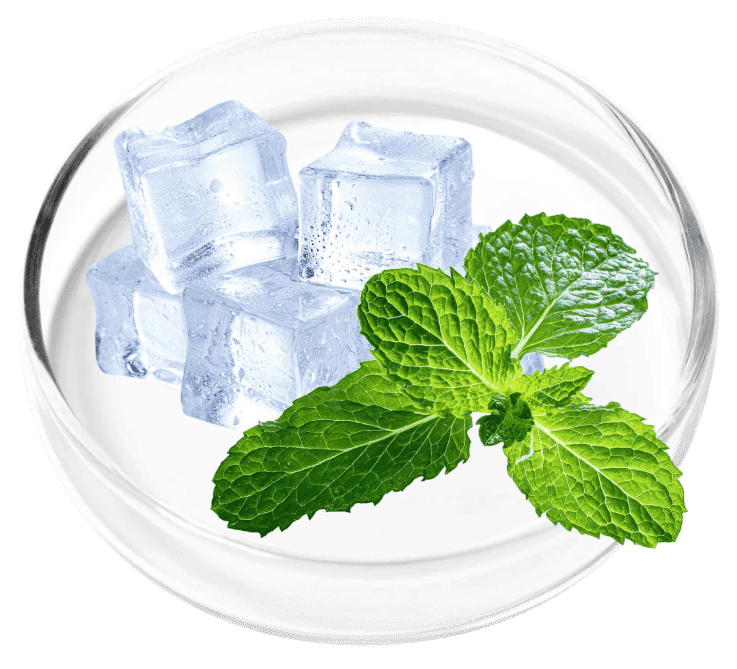 Menthol ingredient